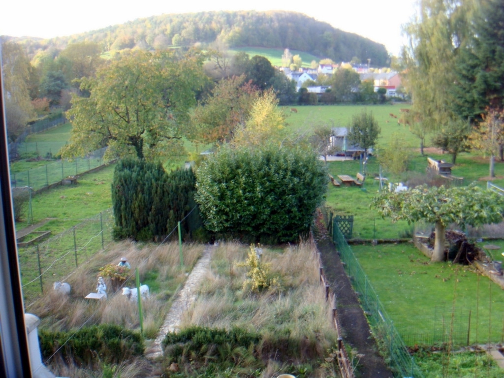 Image 11949/3