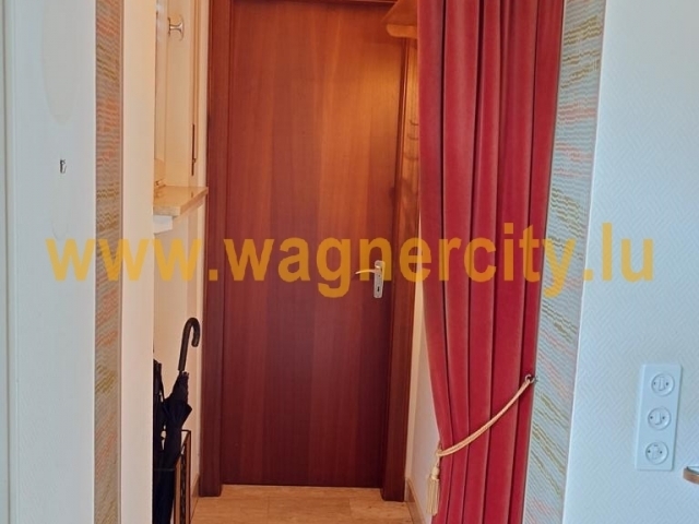 Image 17049/17