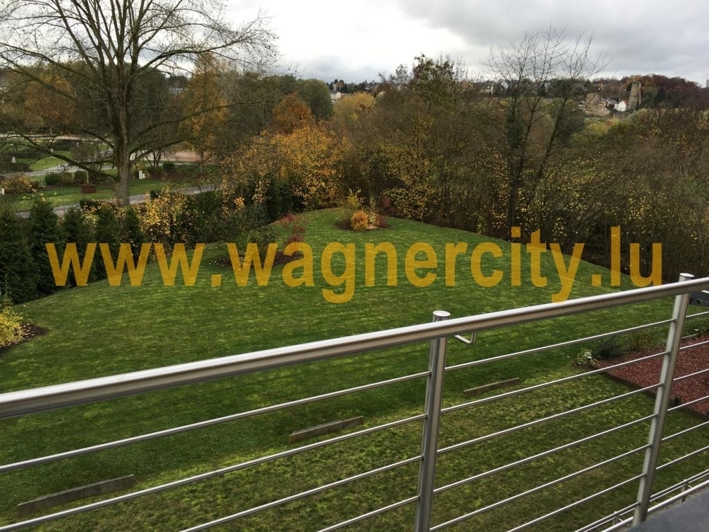 Image 17159/2