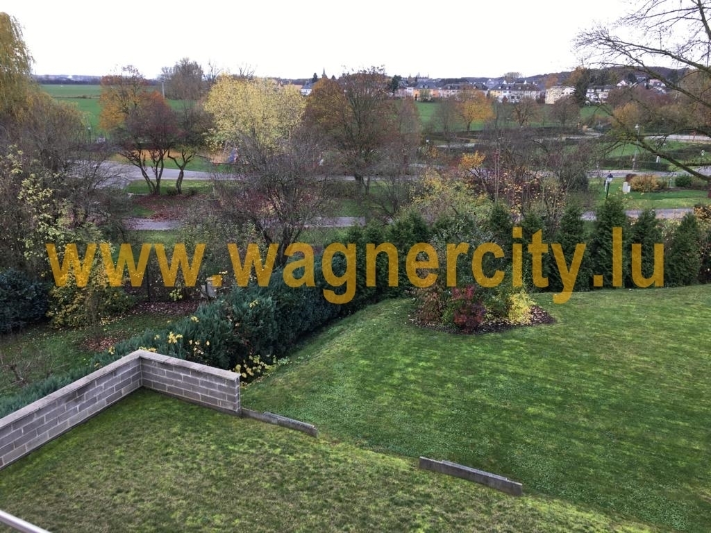 Image 17161/1