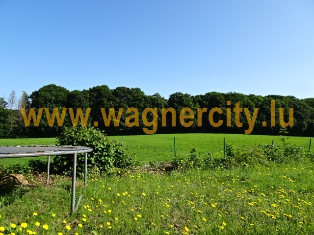 Image 17248/1