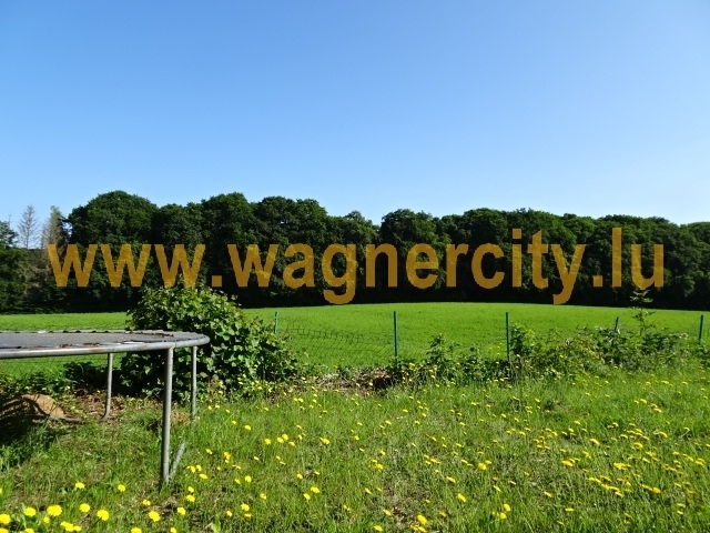 Image 17248/1