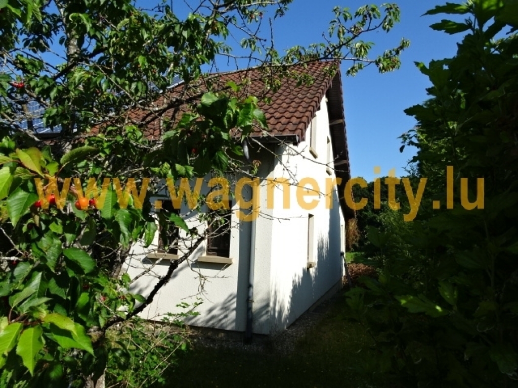 Image 17251/4