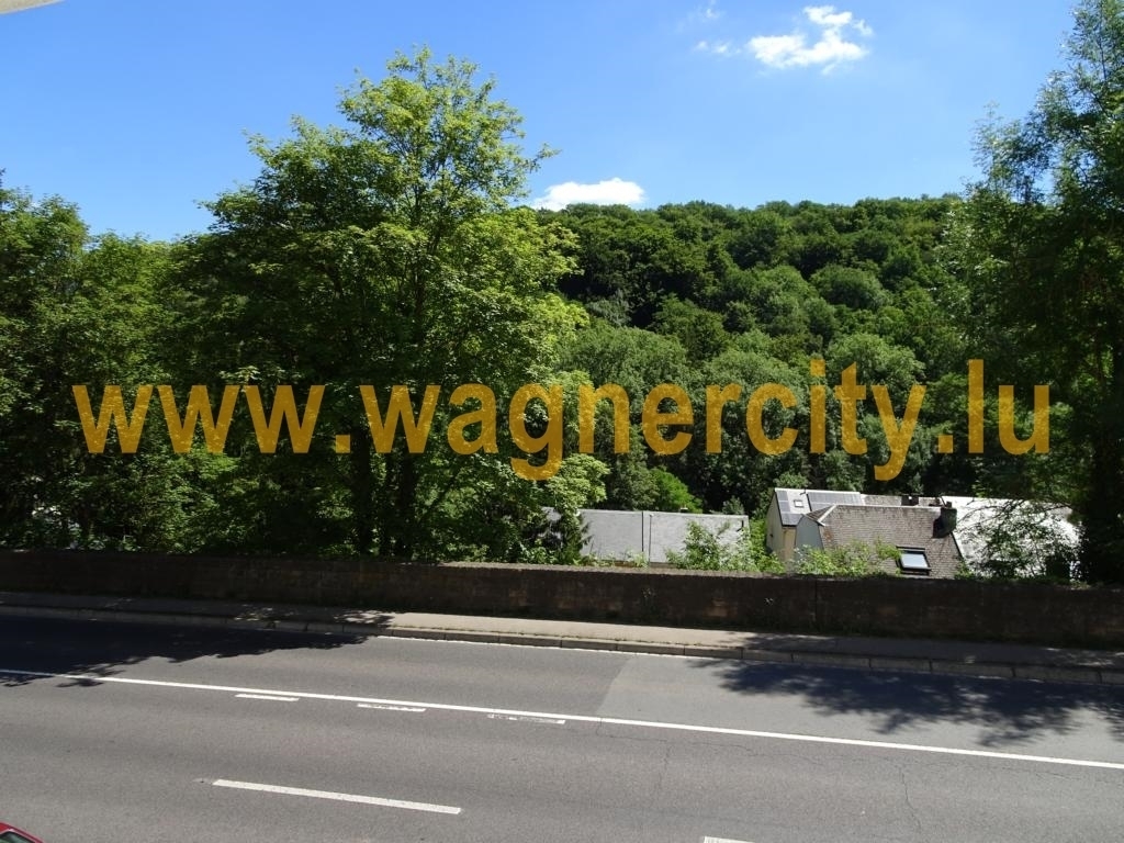 Image 17383/2