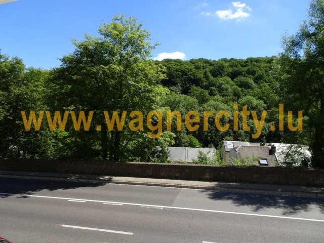 Image 17383/2