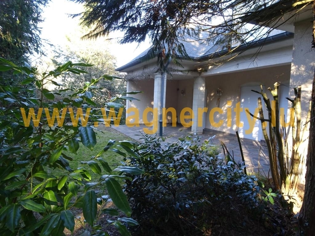 Image 17547/1