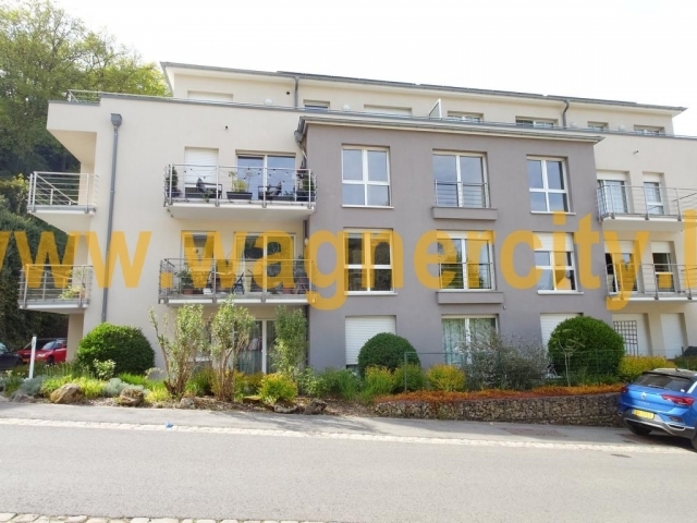 Image 43064/1
