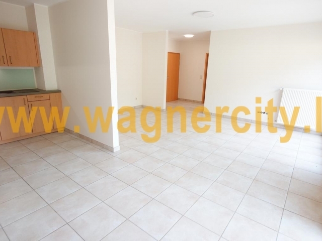 Image 43066/3