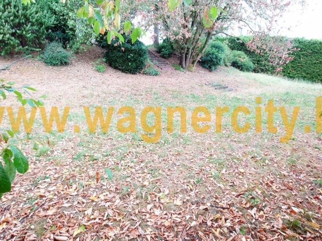 Image 48998/6
