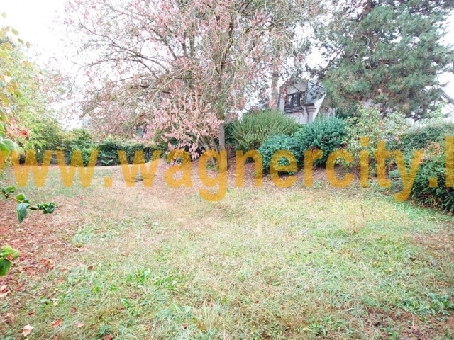 Image 48999/7