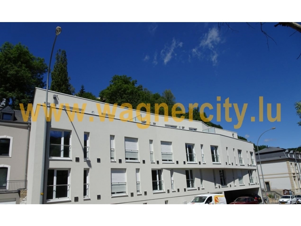 Image 49401/1