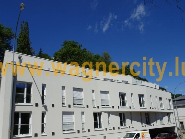 Image 49401/1