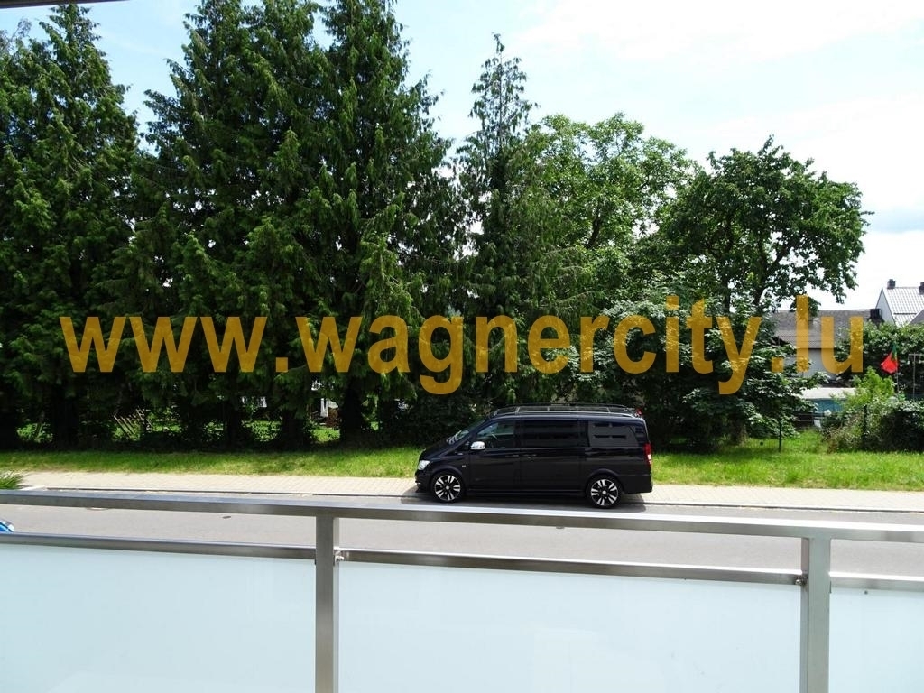 Image 49536/3