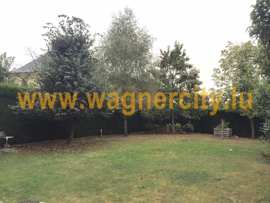 Image 49547/2